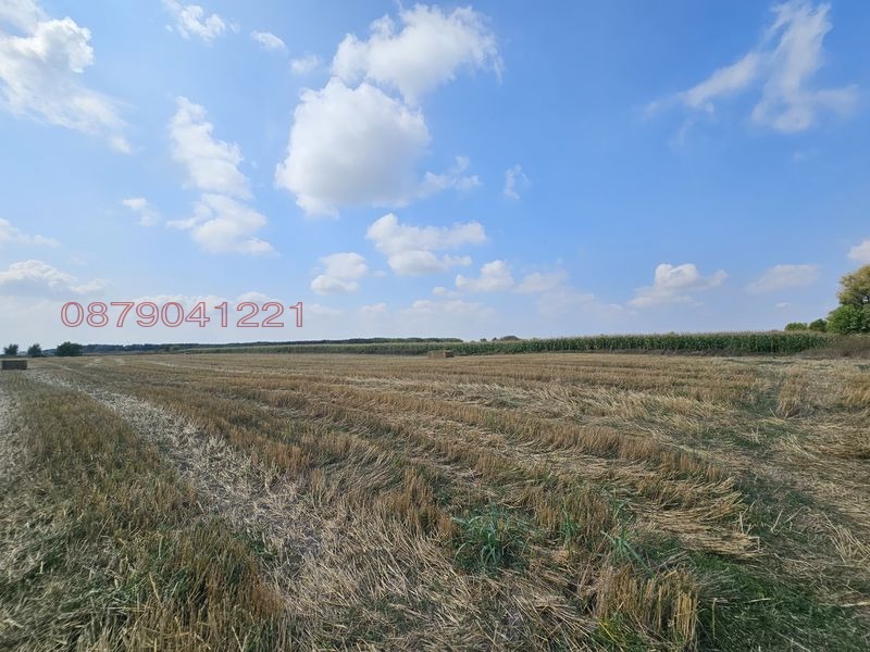 Продава ЗЕМЕДЕЛСКА ЗЕМЯ, с. Крислово, област Пловдив, снимка 5 - Земеделска земя - 53557156