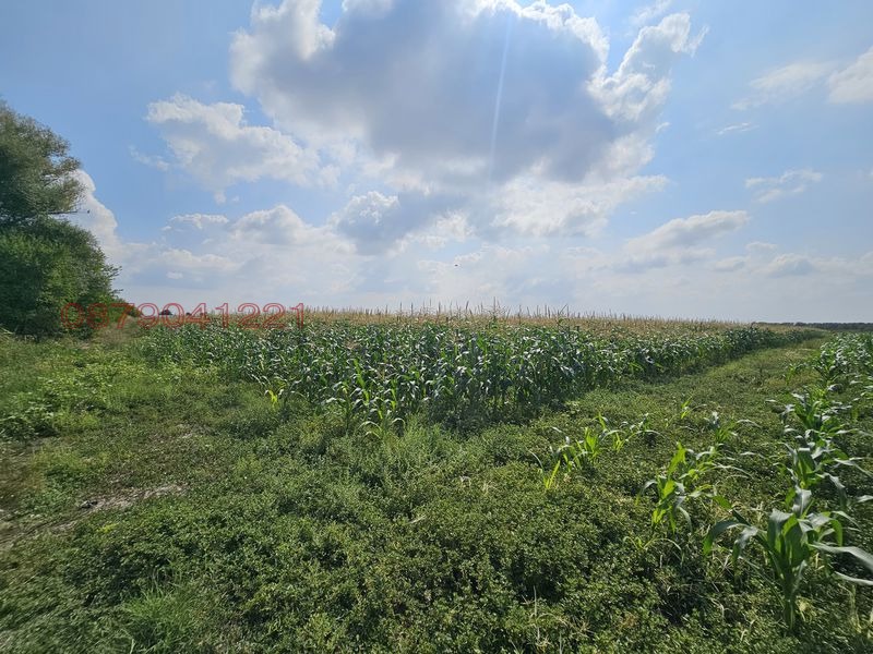 Продава ЗЕМЕДЕЛСКА ЗЕМЯ, с. Крислово, област Пловдив, снимка 3 - Земеделска земя - 53557156