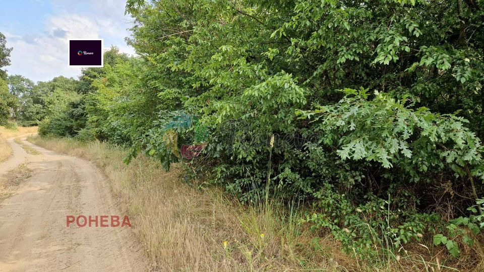 Продава ПАРЦЕЛ, с. Здравец, област Варна, снимка 2 - Парцели - 46961018