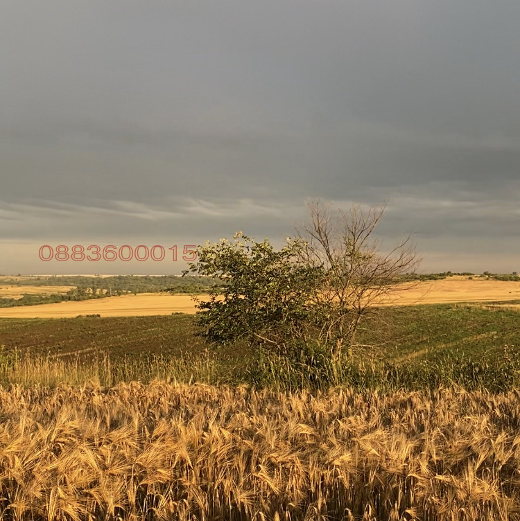 ������� ���������� ���� | Imot.bg � ����������� 1