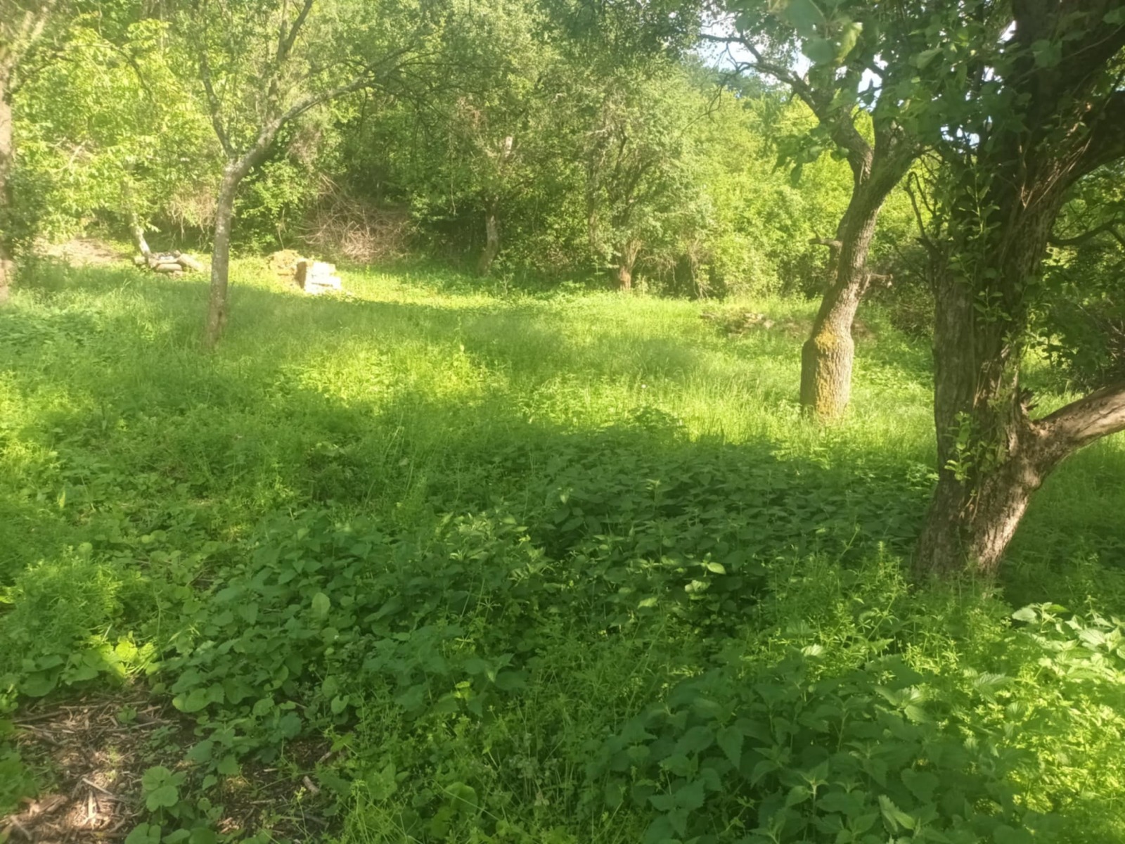 Продава ПАРЦЕЛ | Imot.bg — изображение 8