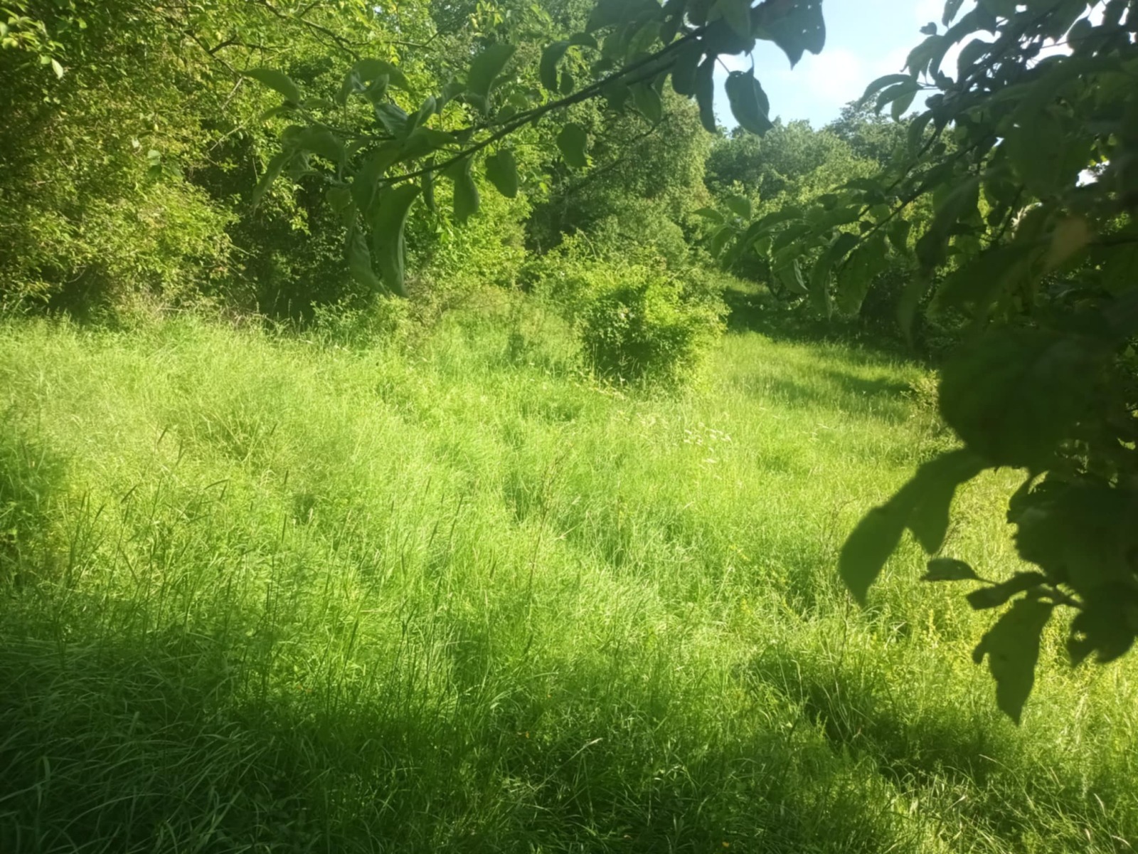 Продава ПАРЦЕЛ | Imot.bg — изображение 3