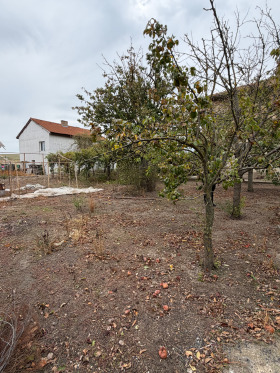 ������� ���� | Imot.bg � ����� ������ 3