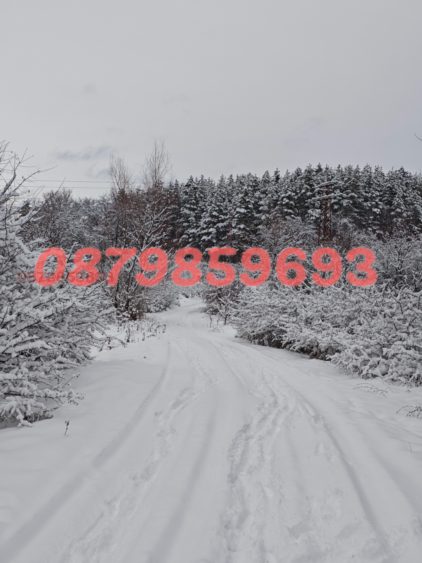 Продава КЪЩА, гр. София, с. Панчарево, снимка 14 - Къщи - 54377641