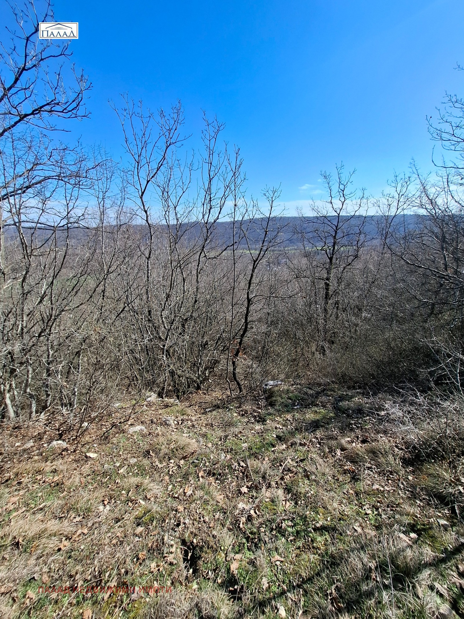 Продава ПАРЦЕЛ, с. Осеново, област Варна, снимка 2 - Парцели - 53631896