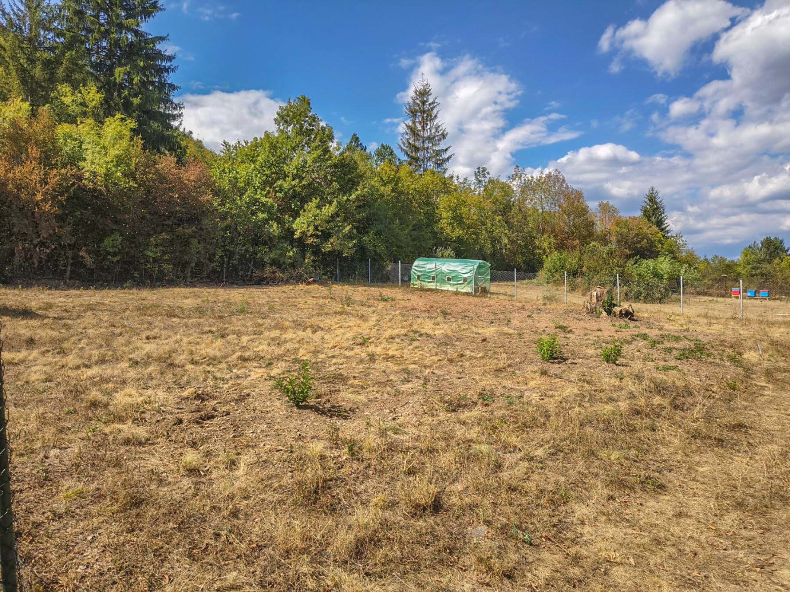 Продава ПАРЦЕЛ, с. Свидня, област София област, снимка 4 - Парцели - 56161654