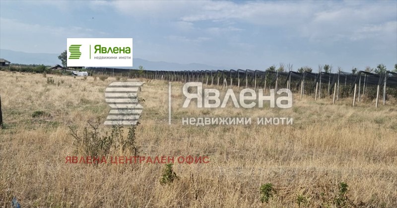 ������� ������ | Imot.bg � ����������� 1