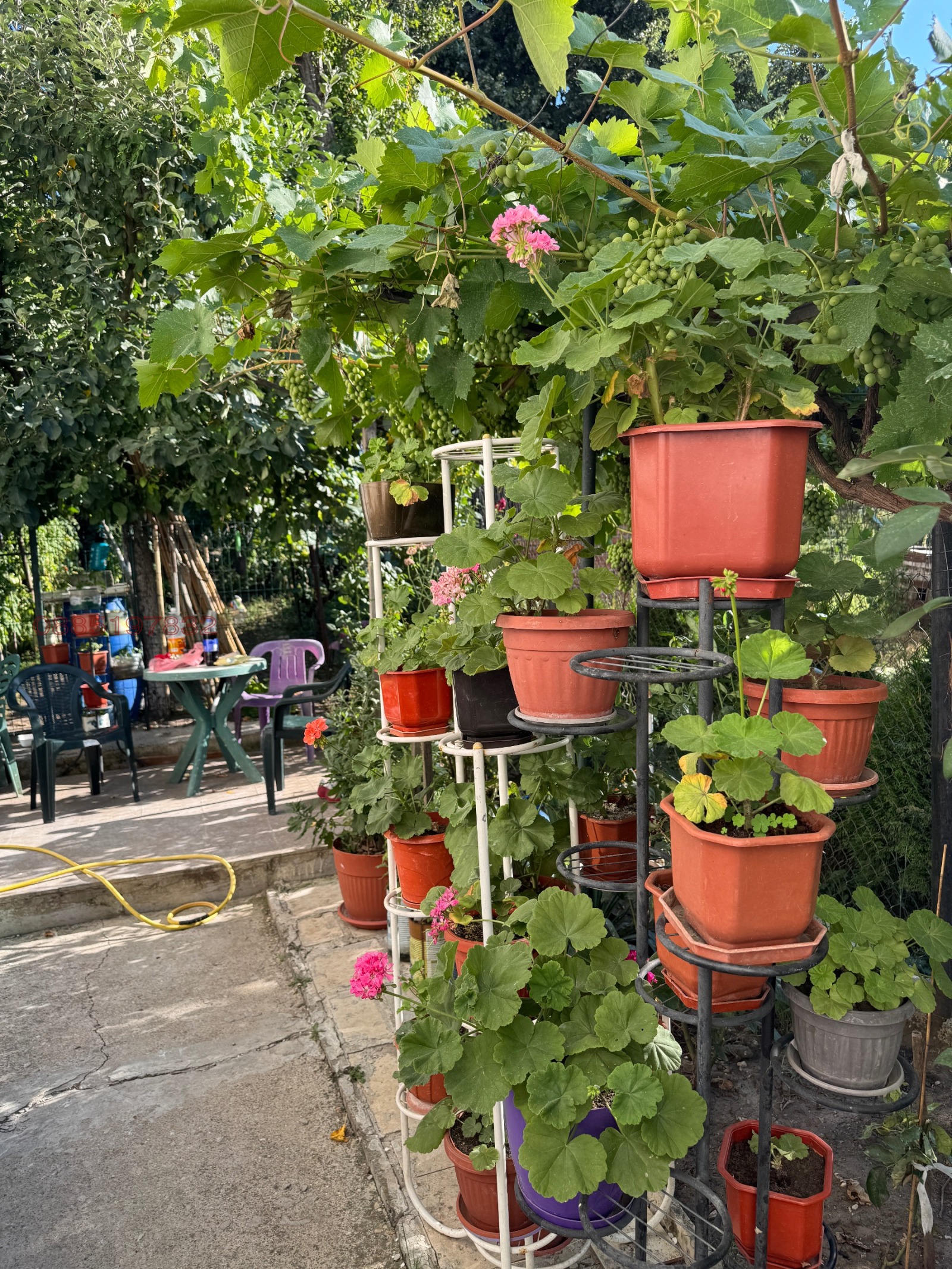 ������� ���� �� ���� | Imot.bg � ����������� 9