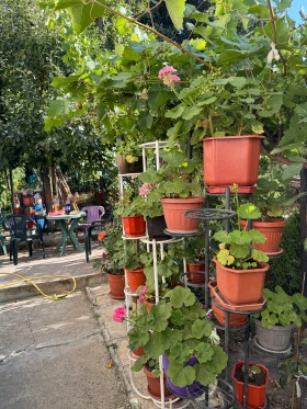 ������� ���� �� ���� | Imot.bg � ����� ������ 9