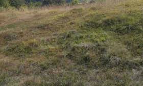 ПАРЦЕЛ, 10 263 m2