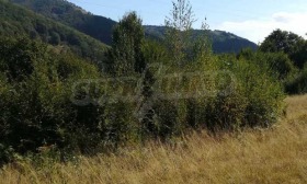 ������� ������ | Imot.bg � ����� ������ 13