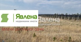 ����� ������� ������,�. ����, ������ �������