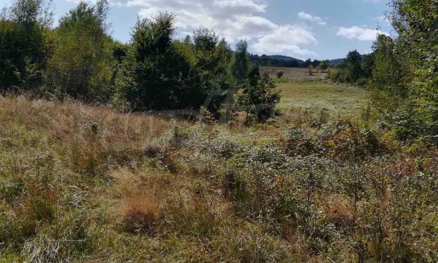 Продава ПАРЦЕЛ, с. Рибарица, област Ловеч, снимка 17 - Парцели - 53789483