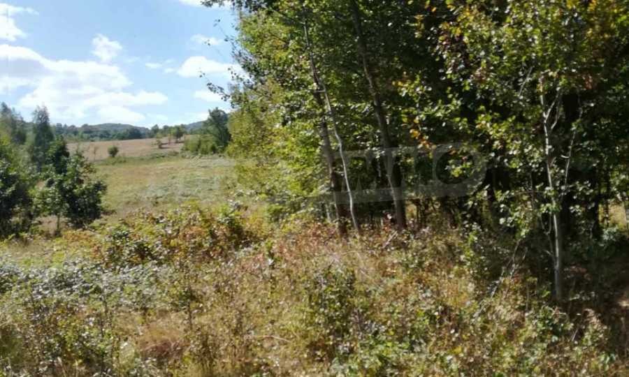 Продава ПАРЦЕЛ, с. Рибарица, област Ловеч, снимка 6 - Парцели - 53789483
