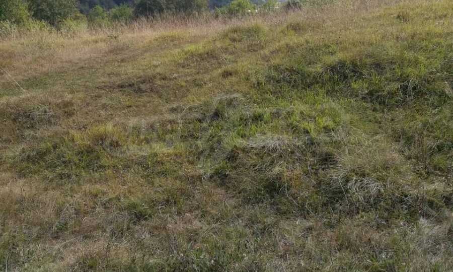 Продава ПАРЦЕЛ, с. Рибарица, област Ловеч