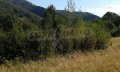 Продава ПАРЦЕЛ, с. Рибарица, област Ловеч, снимка 13