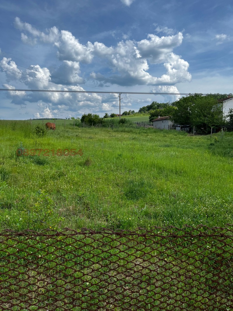 Продава ВИЛА, с. Драчево, област Бургас, снимка 14 - Вили - 52780141