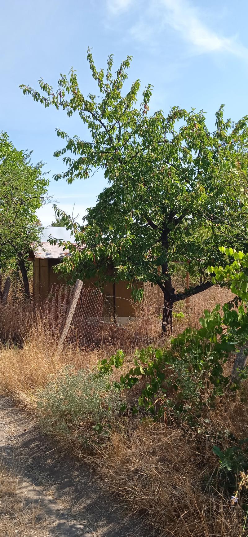 ������� ������ | Imot.bg � ����������� 1