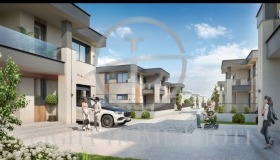 ����� ������� ����,���� �������, ��������