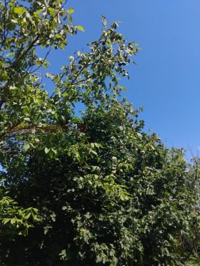 ������� ���������� ���� | Imot.bg � ����� ������ 3