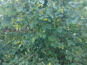 ������� ���������� ���� | Imot.bg � ����� ������ 2