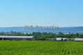 Продава ПАРЦЕЛ, гр. Варна, Западна промишлена зона, снимка 1