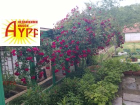 Кућа Студентски град, Враца