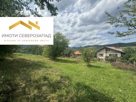 Cselekmény Berkovica, régió Montana 10