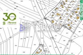 ����� ������� ������,���� �����, ������