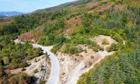 ������� ������ | Imot.bg � ����� ������ 7