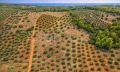Продава ПАРЦЕЛ, Извън страната, област Извън страната, снимка 6