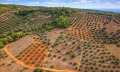 Продава ПАРЦЕЛ, Извън страната, област Извън страната, снимка 3