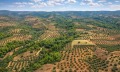 Продава ПАРЦЕЛ, Извън страната, област Извън страната, снимка 4