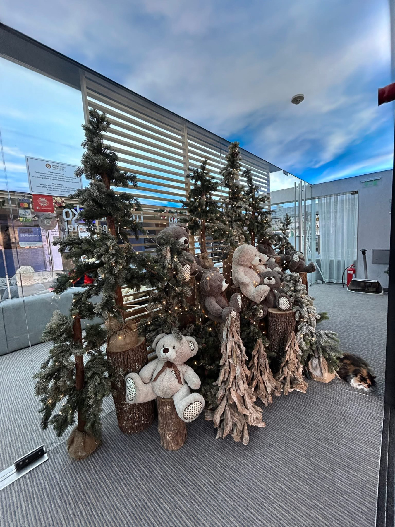 ������� 1-����� | Imot.bg � ����������� 7