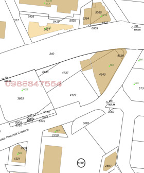 ����� ������� ������,���� �����, ���������� ����