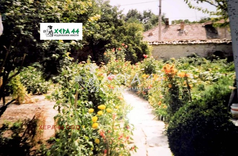 Продава КЪЩА, област Варна, с. Невша • 35000 € / 68454.05 лв. • 88152318 1