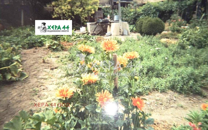 Продава КЪЩА, с. Невша, област Варна, снимка 4 - Къщи - 52290352