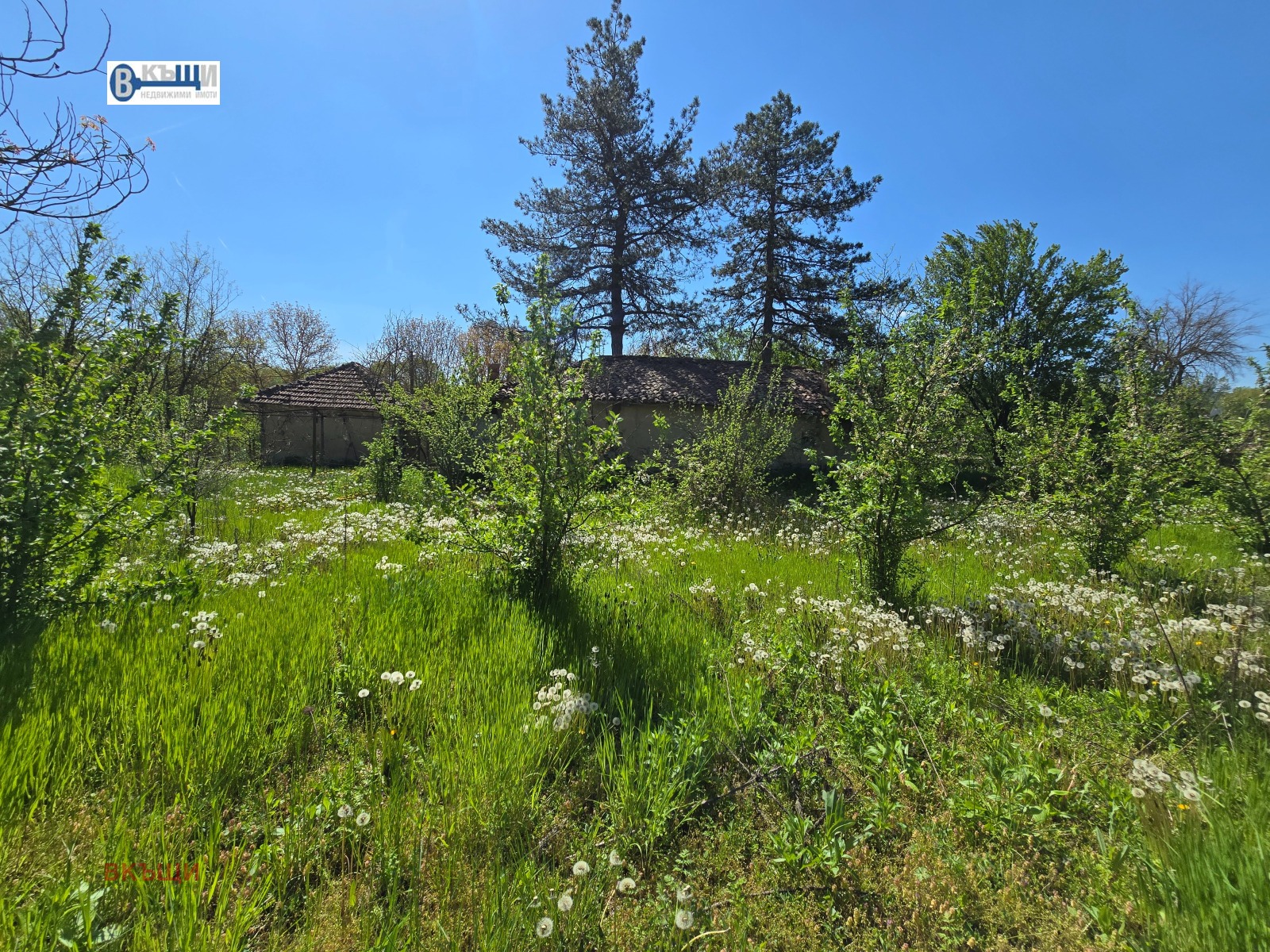 ������� ���� | Imot.bg � ����������� 12