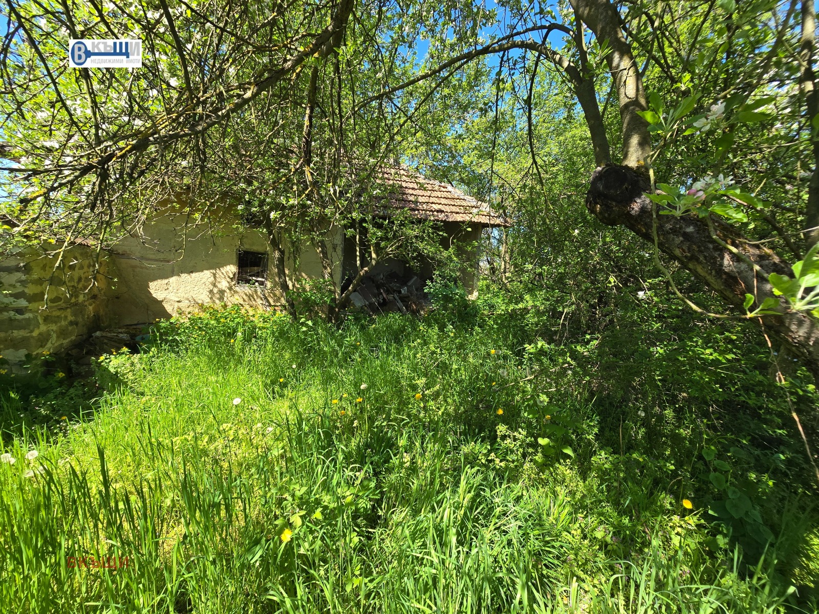 ������� ���� | Imot.bg � ����������� 11