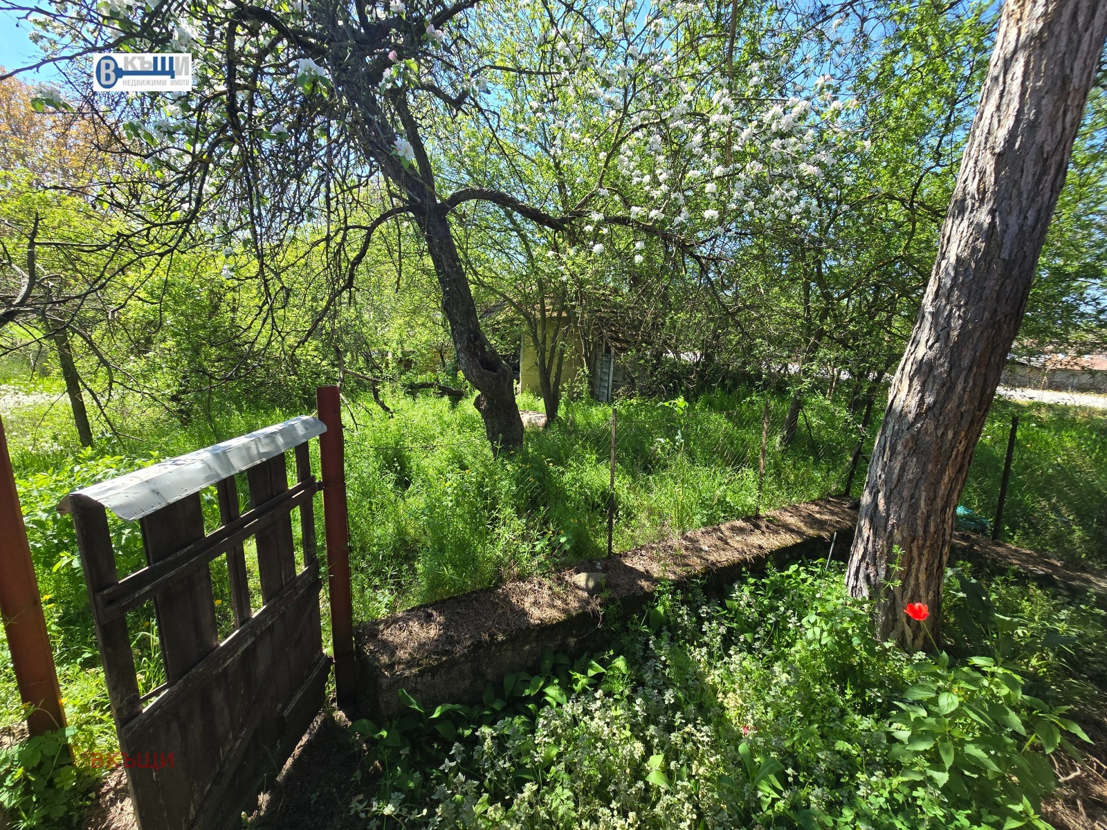 ������� ���� | Imot.bg � ����������� 8