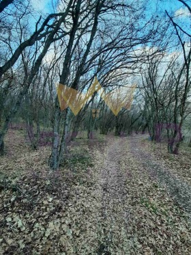 ������� ������ | Imot.bg � ����� ������ 5