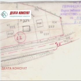 ����� ������� ������,�. ���������, ������ ������