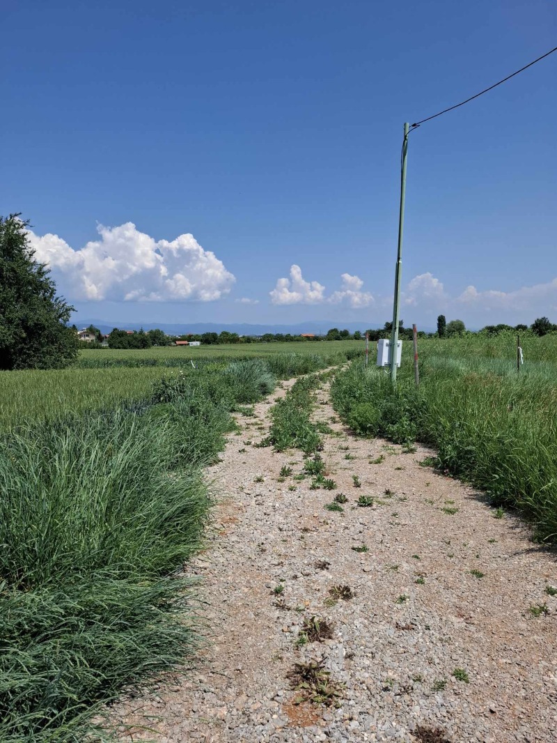 Na sprzedaż  Działka region Sofia , Prolesza , 855 mkw | 35426781 - obraz [5]