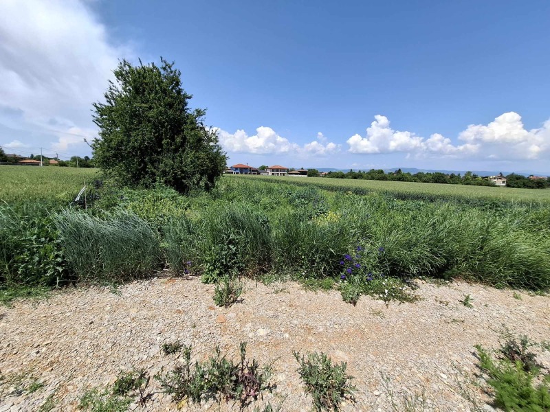 Na sprzedaż  Działka region Sofia , Prolesza , 855 mkw | 35426781 - obraz [6]