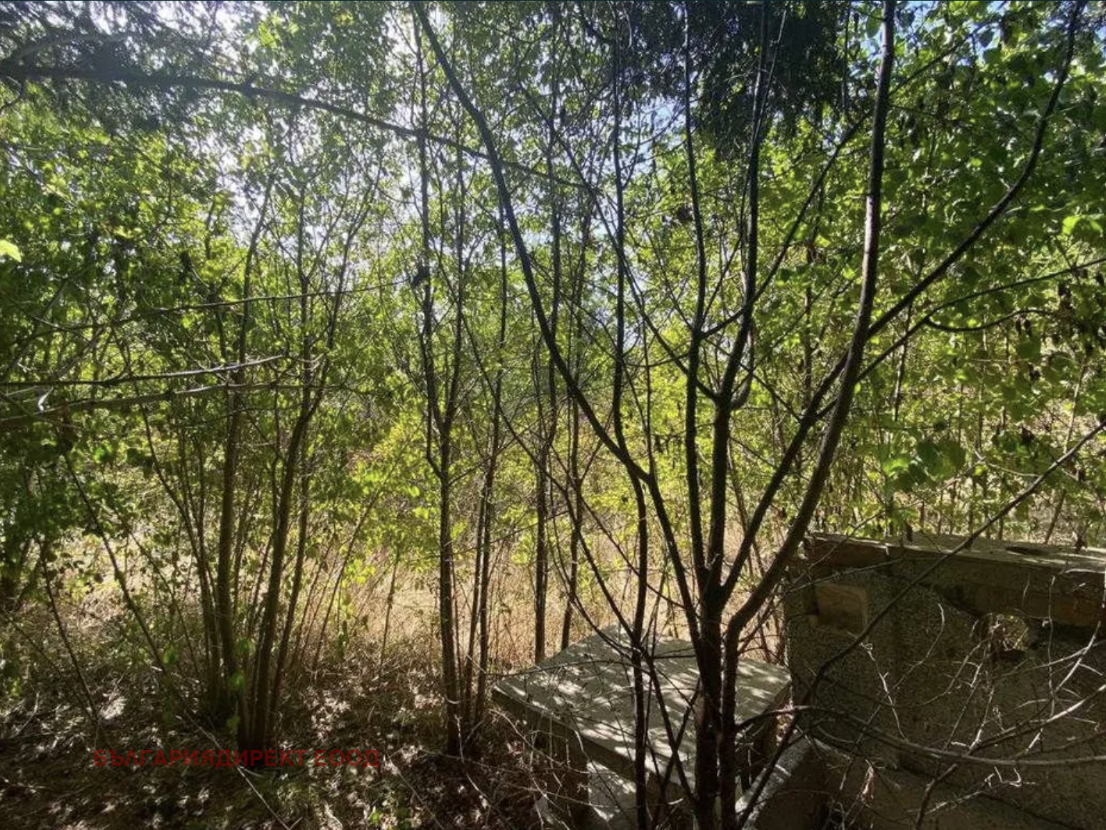 Продава КЪЩА, с. Михалци, област Велико Търново, снимка 7 - Къщи - 53721104