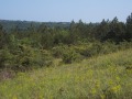 Продава ПАРЦЕЛ, с. Осеново, област Варна, снимка 2