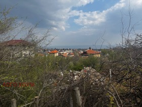 ������ ������� ������