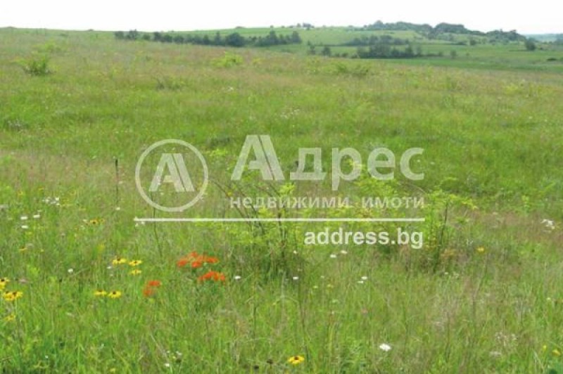 Продаја  Плот Софија , Кокалјане , 2061 м2 | 87474997