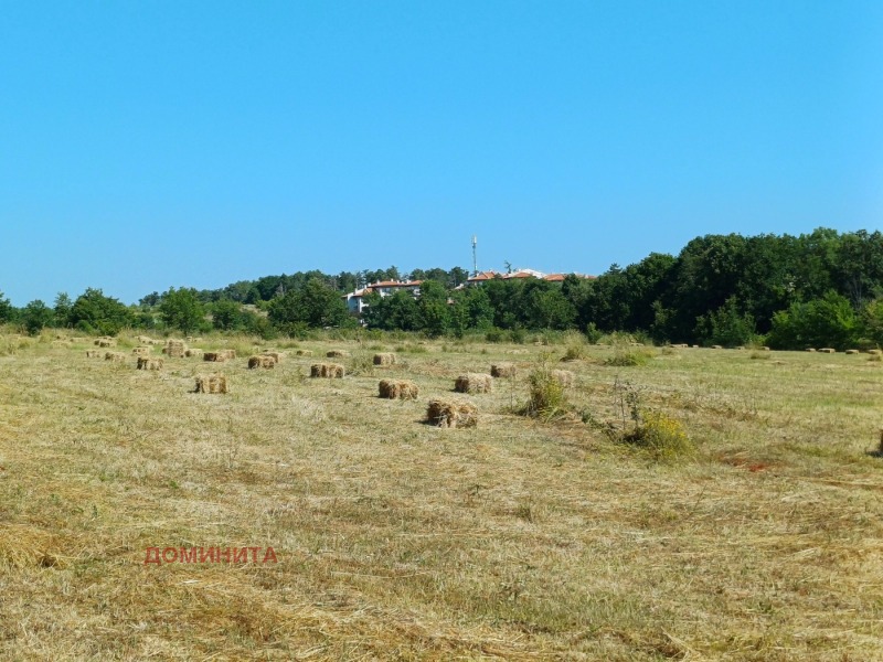 Til salg  Jord region Burgas , Lozenets , 7 dka | 86456596 - billede [3]