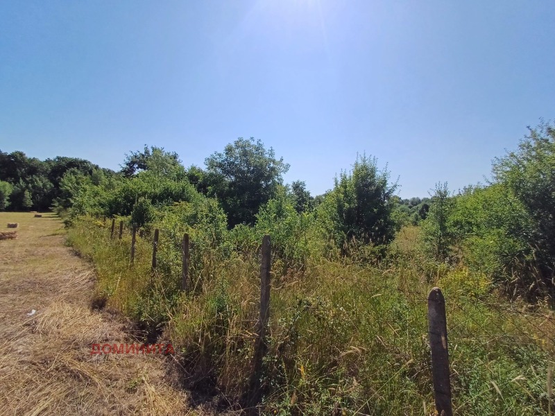 Til salg  Jord region Burgas , Lozenets , 7 dka | 86456596 - billede [5]
